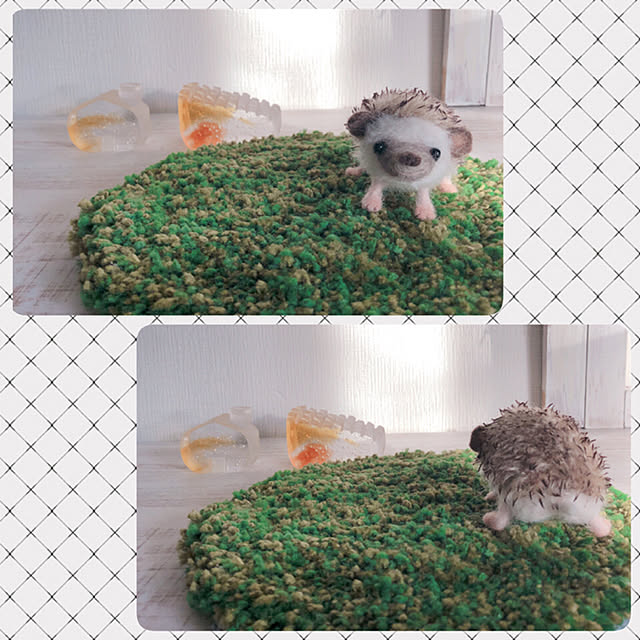 kusuttoさんの実例写真