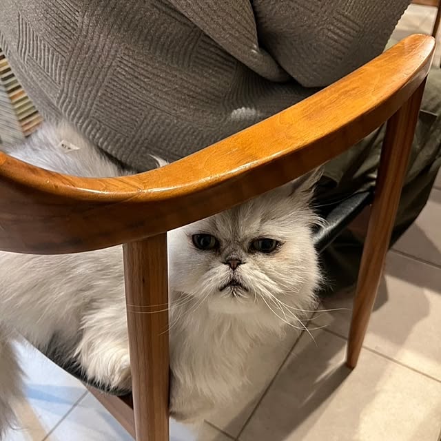 Renさんの部屋