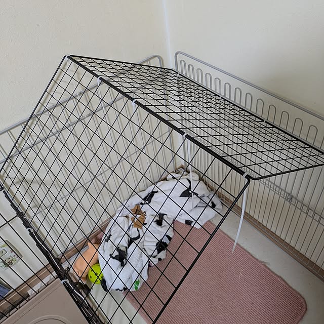 asaさんの部屋