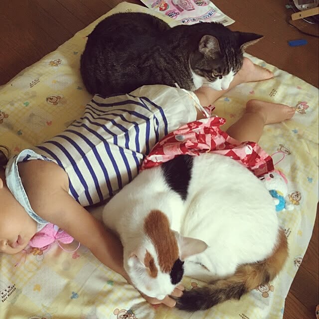 ichi.さんの実例写真