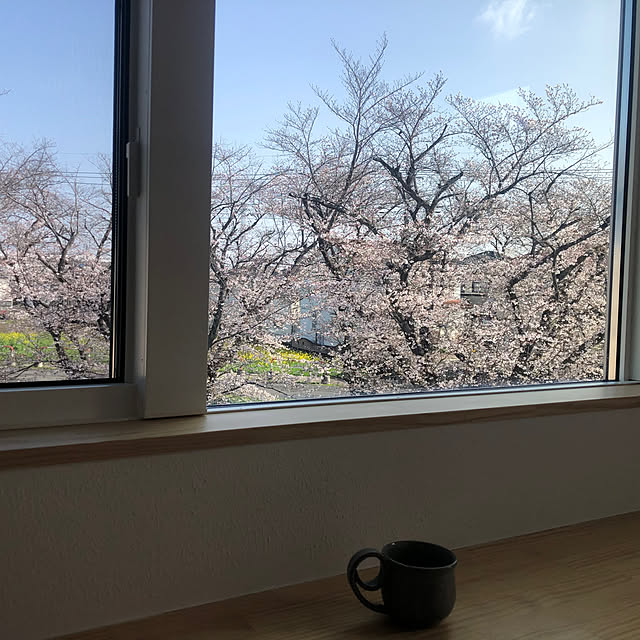 todonekomaiさんの実例写真