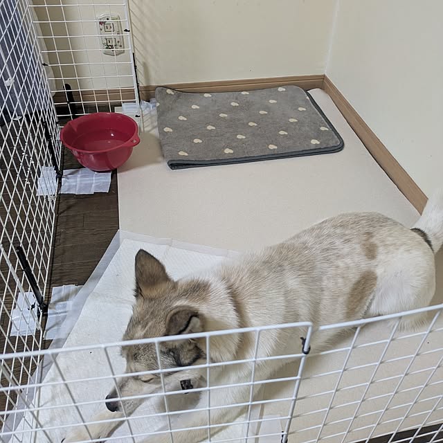 asaさんの部屋