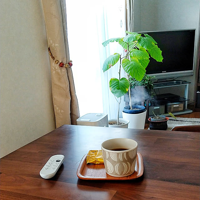 Renさんの実例写真