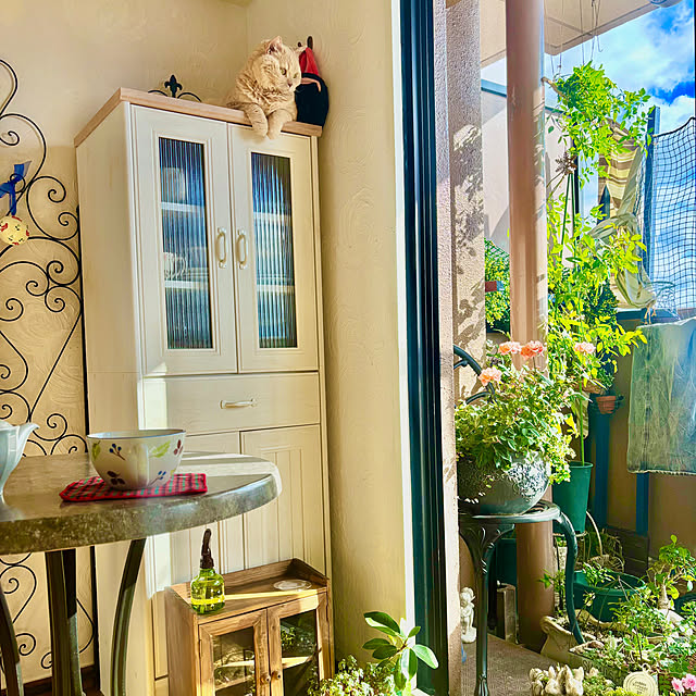 naokoさんの実例写真