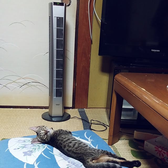 tantomeenさんの実例写真