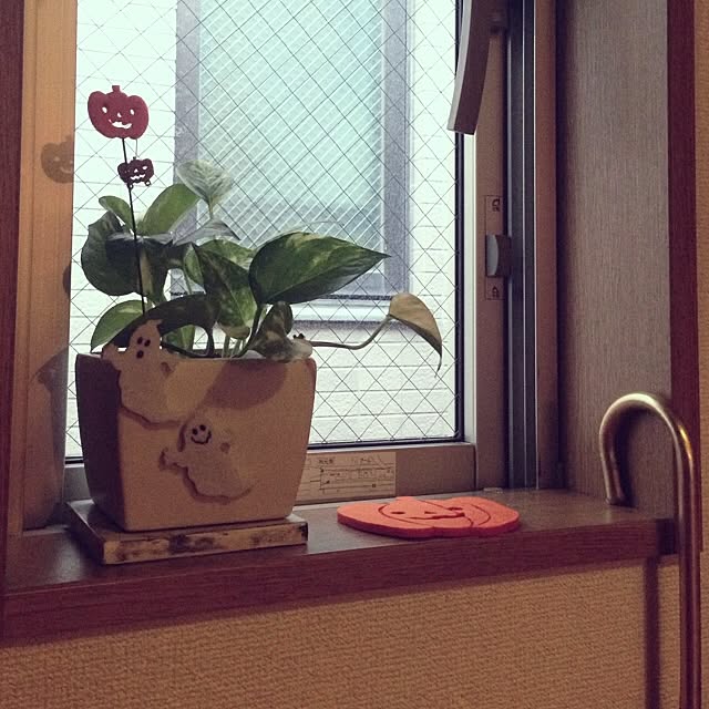 mememeさんの実例写真