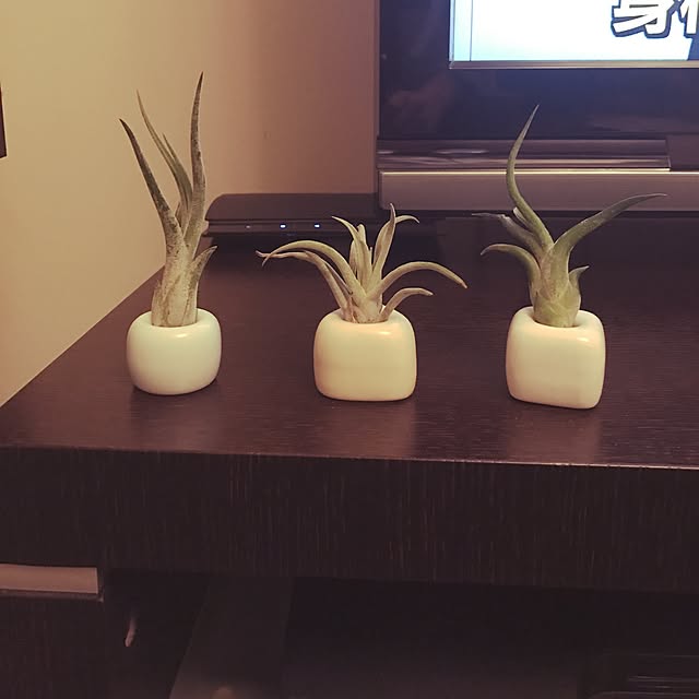 RODさんの実例写真
