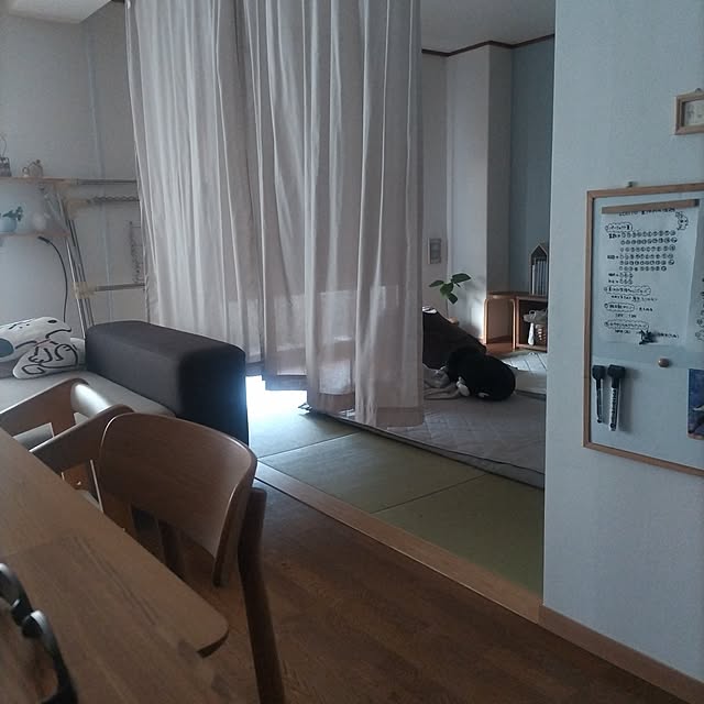 sakiさんの実例写真