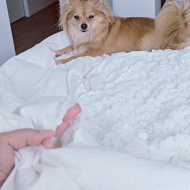 noahさんの部屋