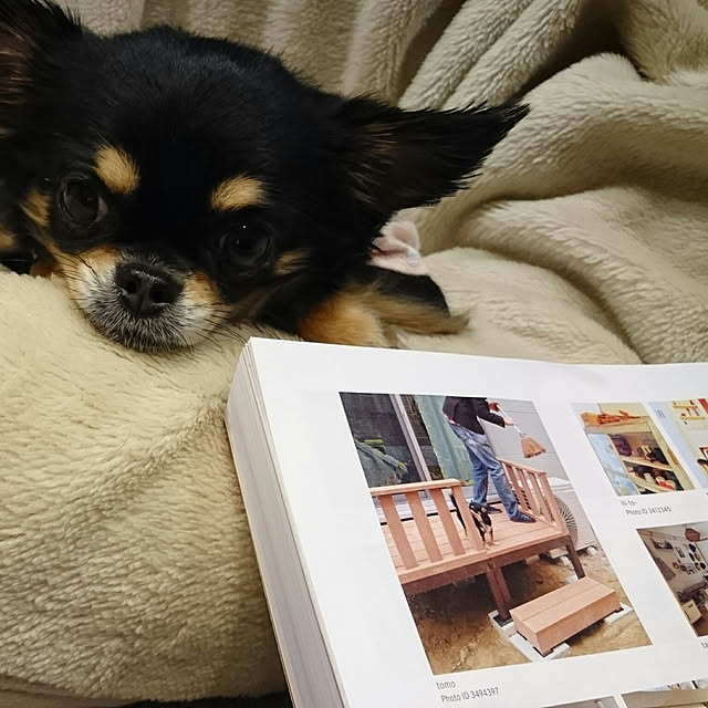 tomoさんの実例写真