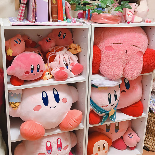 Toriさんの実例写真