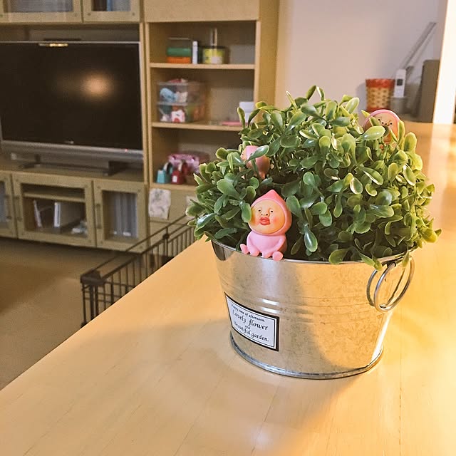 soramameharukoさんの実例写真