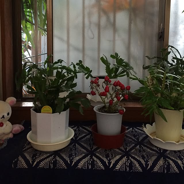 horurunさんの実例写真