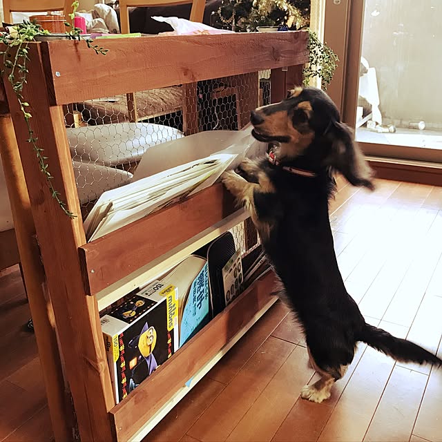Michicoさんの実例写真