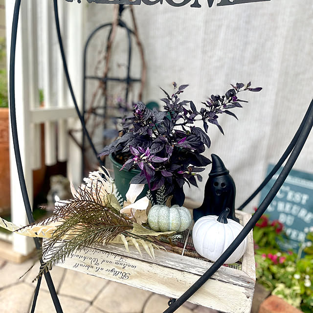 Ma-saさんの実例写真