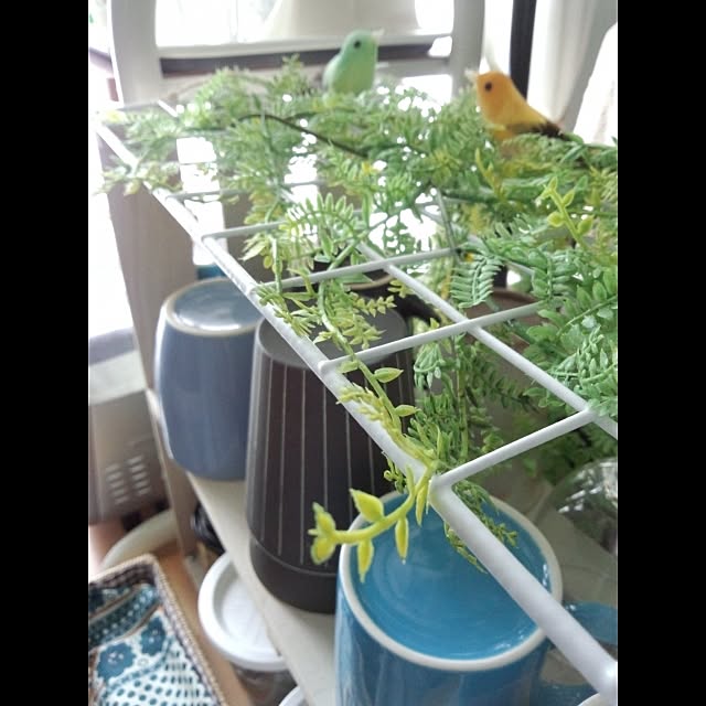 I_naomiさんの実例写真