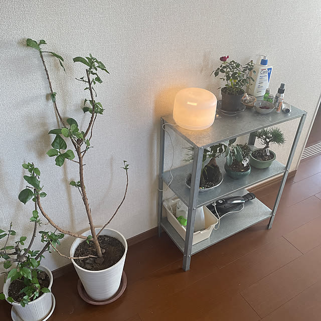 sanbaさんの実例写真