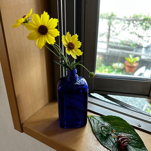 portulacaさんの実例写真