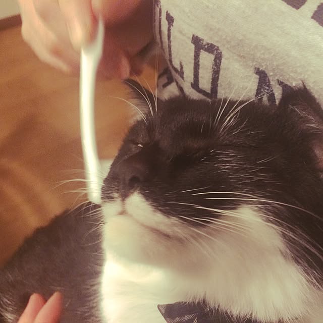 taeさんの実例写真