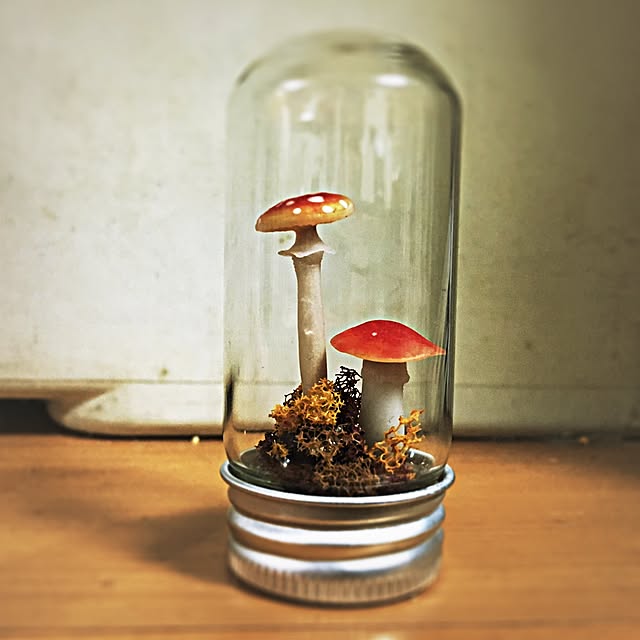 ramuchop3000さんの実例写真