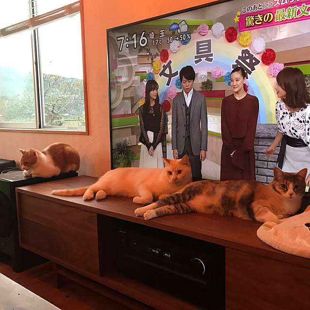 sakurasakuさんの実例写真