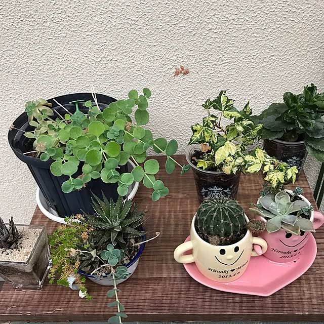 ssm0406さんの実例写真