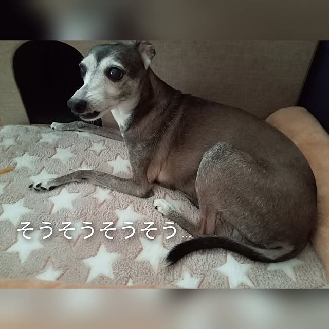 moruさんの部屋