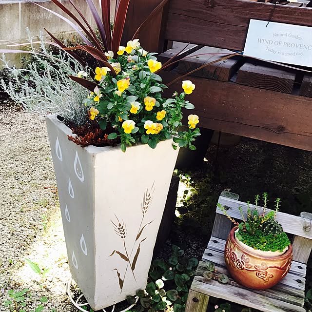 portulacaさんの実例写真