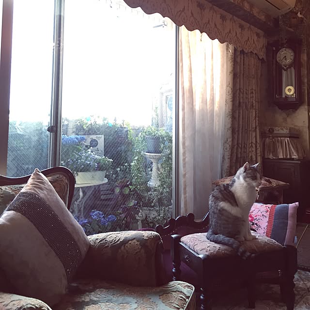 emmyyさんの実例写真