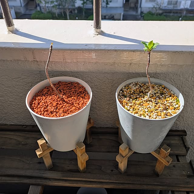 mi-saさんの部屋