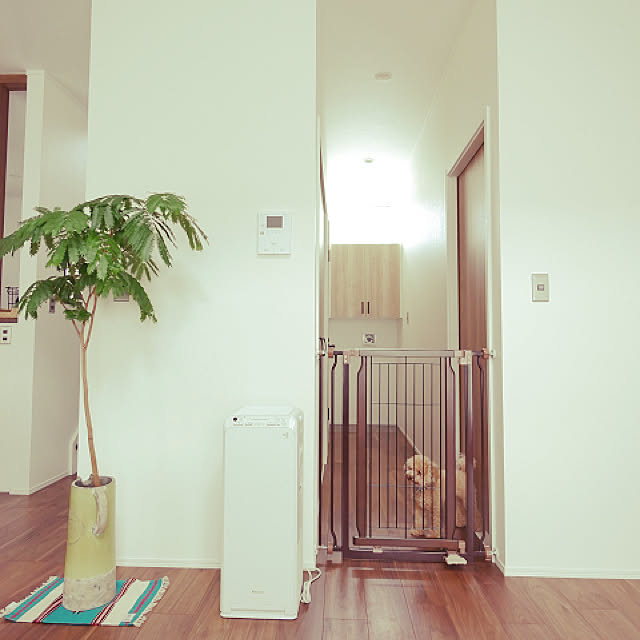 Masanoriさんの実例写真