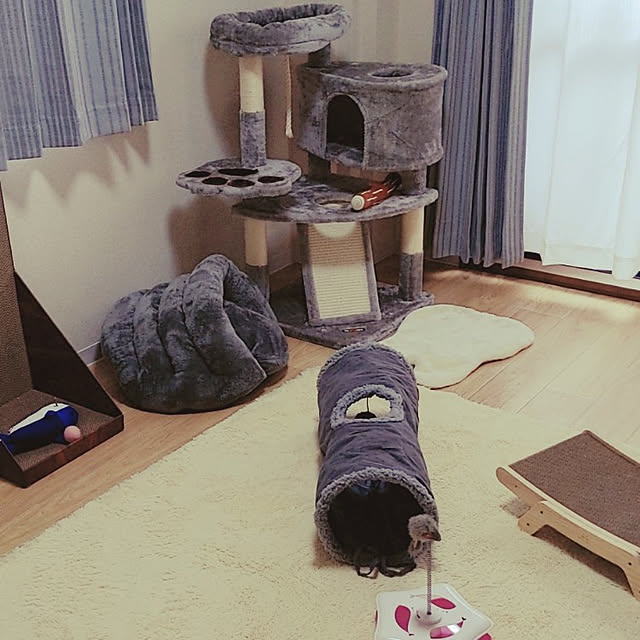 yuzuponさんの実例写真