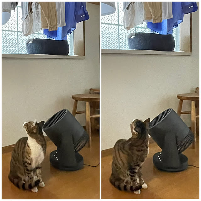 nobikoさんの部屋