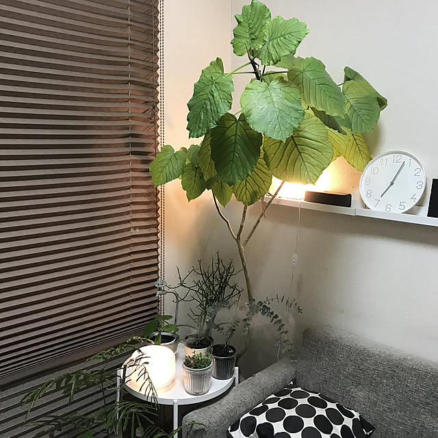 cagosukiさんの実例写真