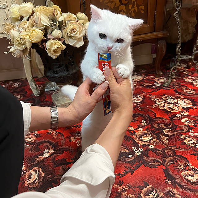 AYUKOさんの部屋