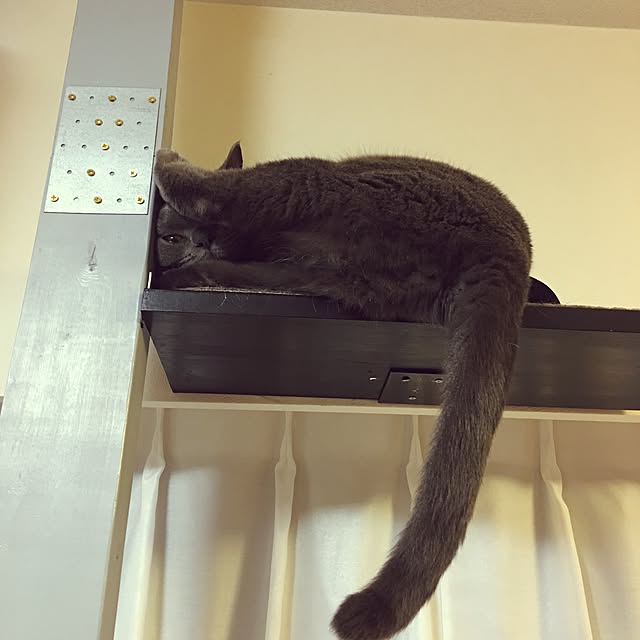 Shojiさんの実例写真
