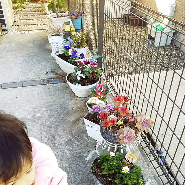asa.haruaoさんの実例写真