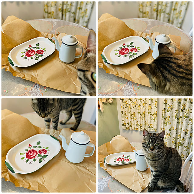 usaakoさんの実例写真