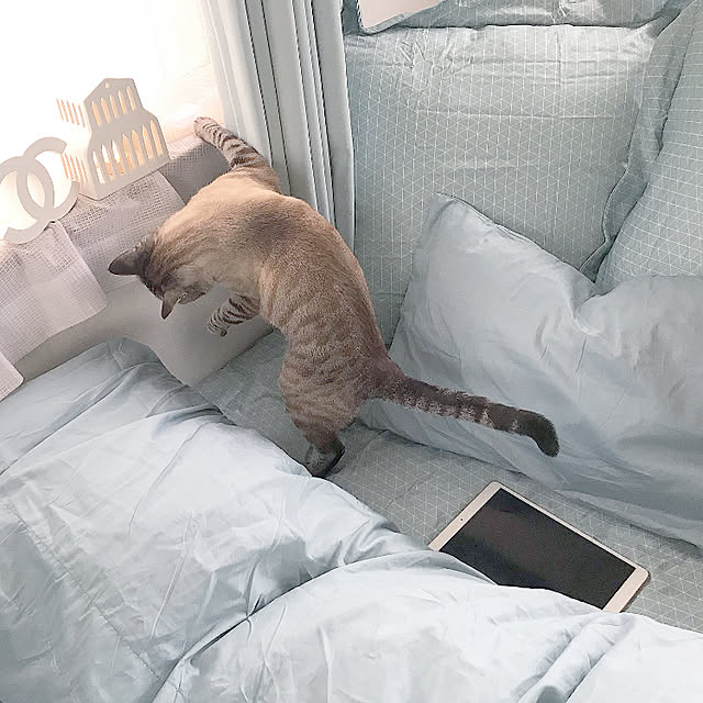 chieさんの実例写真