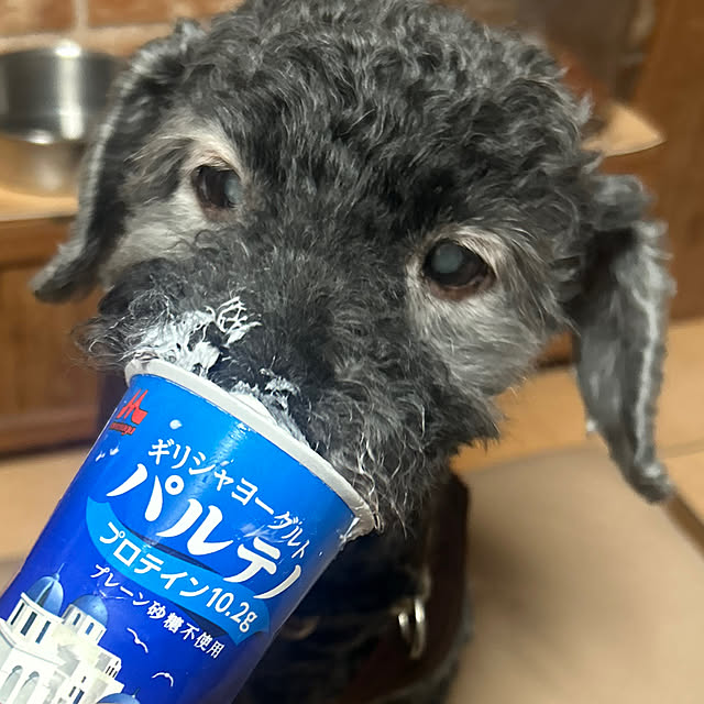 nnramさんの部屋