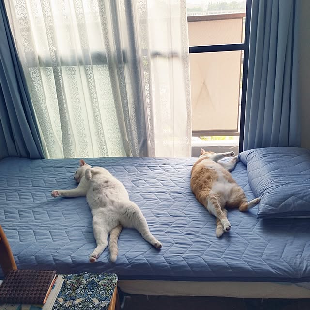 NOAHさんの実例写真
