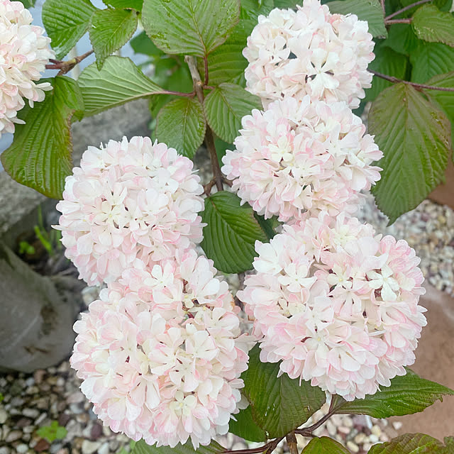r.k.m.n_n.3.4.5さんの部屋