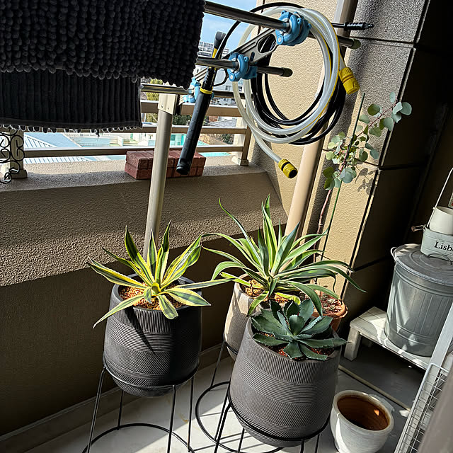 koshiregutyoさんの部屋