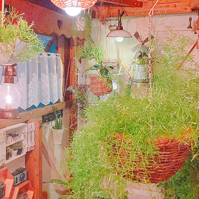 Hanakaさんの部屋