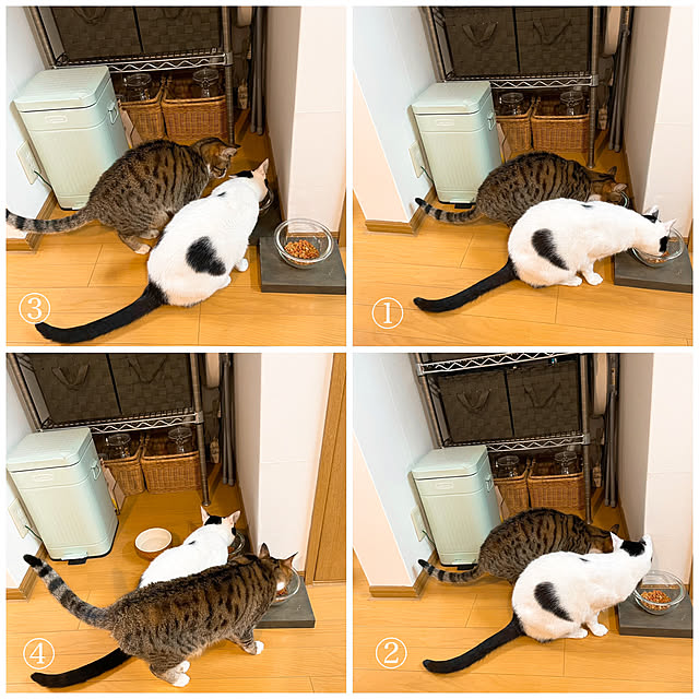 nobikoさんの実例写真
