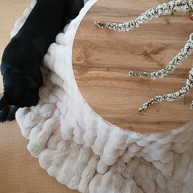 chidorinさんの部屋