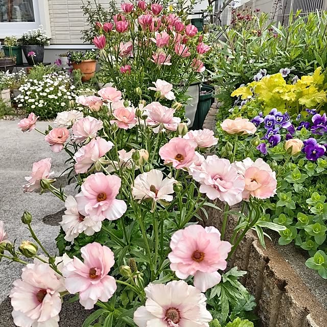 kuuさんの実例写真