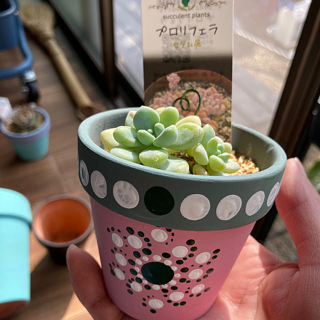 CELICAさんの実例写真