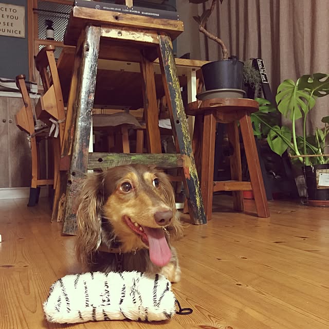 yupponさんの実例写真