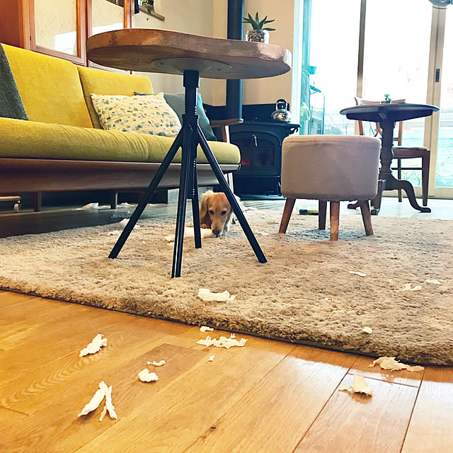 yukariさんの実例写真